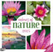 Colours of Nature 2025, Wandkalender / Broschürenkalender im Hochformat (aufgeklappt 30x60 cm) - Art12 - Geschenk-Kalender mit Monatskalendarium zum Eintragen