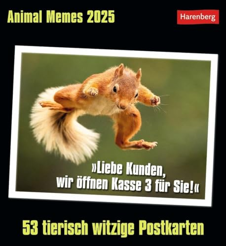 Animal Memes Postkartenkalender 2025 - 53 tierisch witzige Postkarten: Witzige Tierfotos mal anders: Jede Woche neue Memes mit coolen Sprüchen in ... zum Aufstellen. Zum Lachen und Verschicken