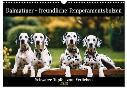 Dalmatiner - freundliche Temperamentsbolzen (Wandkalender 2026 DIN A3 quer), CALVENDO Monatskalender: Schwarze Punkte zum Verlieben (CALVENDO Tiere)