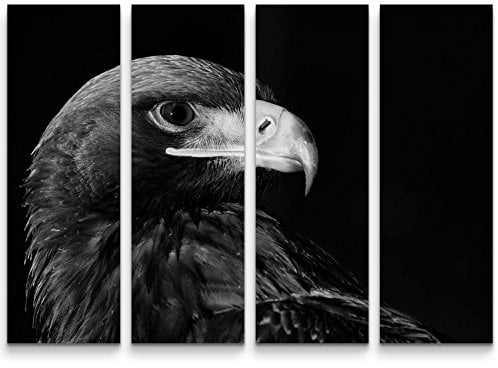 Paul Sinus Art Leinwandbilder | Bilder Leinwand 130x90cm 4 Teile Portrait eines Adlers – schwarz, weiß