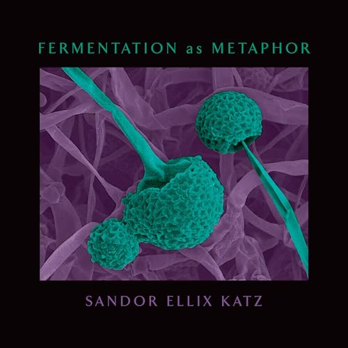 Fermentation as Metaphor: Follow Up to the Bestselling 'The Art of Fermentation': From the Author of the Bestselling The Art of Fermentation