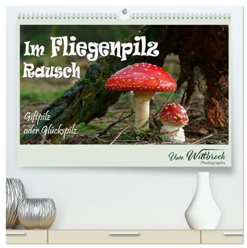 Im Fliegenpilz Rausch (hochwertiger Premium Wandkalender 2026 DIN A2 quer), Kunstdruck in Hochglanz: Fliegenpilz ist Giftpilz und Glückspilz (CALVENDO Natur)