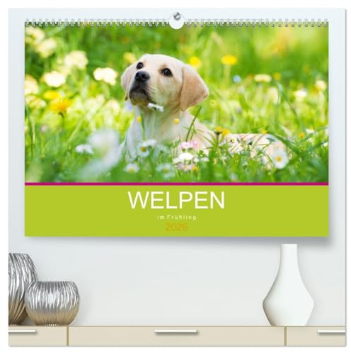 Welpen im Frühling (hochwertiger Premium Wandkalender 2026 DIN A2 quer), Kunstdruck in Hochglanz: Hundewelpen entdecken die Natur (CALVENDO Tiere)