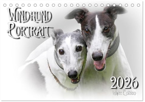 Windhund Portrait 2026 White Edition (Tischkalender 2026 DIN A5 quer), CALVENDO Monatskalender: Fotokalender mit Windhunden (CALVENDO Tiere)