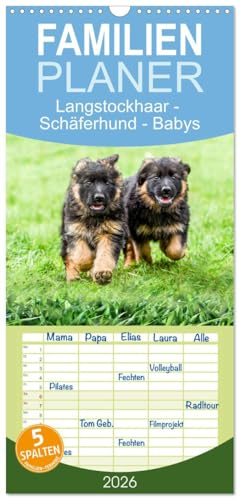 Familienplaner 2026 - Langstockhaar - Schäferhund - Babys mit 5 Spalten (Wandkalender, 21 cm x 45 cm), CALVENDO: Ein Besuch bei wunderschöne Welpen ... des Deutschen Schäferhundes. (CALVENDO Tiere)