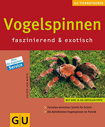 Vogelspinnen faszinierend & exotisch