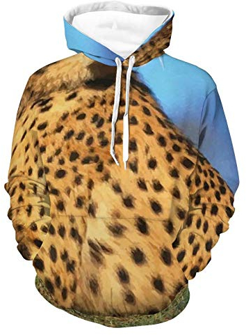AERICKON