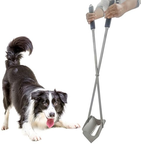 CKLT Paletta per Escrementi Cane 96 cm in Acciaio Inox con Denti e Manico Lungo Pooper Scooper per Cani Grandi e Rifiuti di Animali Domestici, Adatta Anche per Foglie in Giardino e Prato
