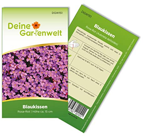 Blaukissen Rosa-rot Samen - Aubrieta deltoides - Blaukissensamen - Blumensamen - Saatgut für 100 Pflanzen