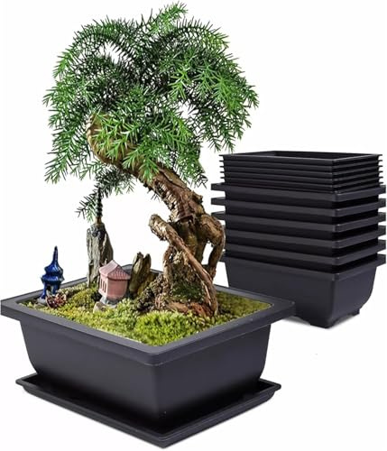 Alleshelfer Bonsai Schale mit Untersetzer, 6 Stück Wiederverwendbar Bonsaischale mit Tabletts, Kunststoff Bonsai Töpfe Pot Blumenpot für Gärten, Wohnzimmer, Fensterbänken (23 cm rechteckige Töpfe)