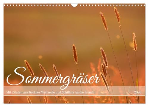 Sommergräser (Wandkalender 2026 DIN A3 quer), CALVENDO Monatskalender: Natur und Poesie im Einklang (CALVENDO Natur)