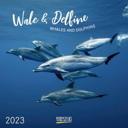 Wale und Delfine 2023: Broschürenkalender mit Ferienterminen. Tierkalender von Fischen. 30 x 30 cm