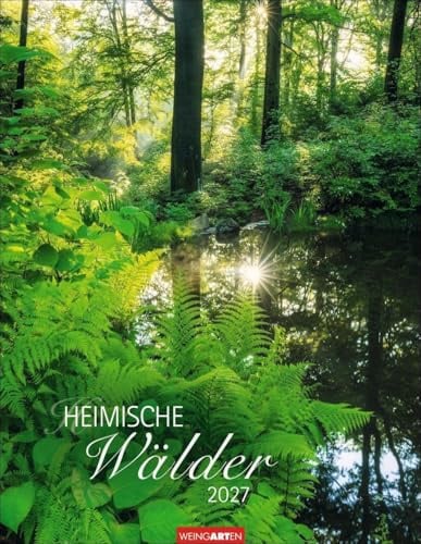 Heimische Wälder Kalender 2027: Hochwertiger Foto-Wandkalender für Naturfreunde: Eine magische Reise durch die Welt der Bäume. Stimmungsvolle Wald-Landschaften im Format 34 x 44 cm