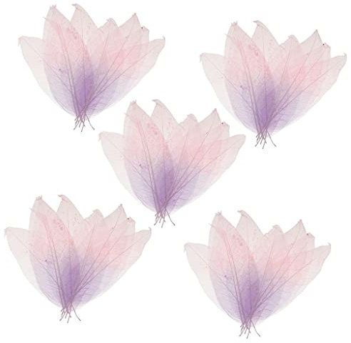 Sharplace 50 Natürliche Magnolien Skelettblätter für Scrapbooking, Lila + rosa, one Size