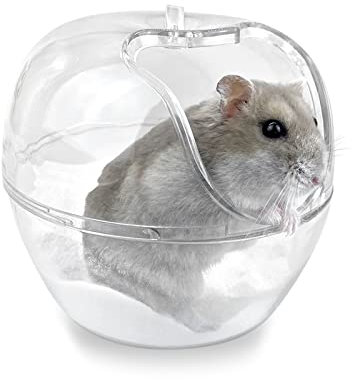 Andiker Bain de Hamster, Toilettes en Plastique Transparent Hamster, Petit Bain en Pet Contenant Un Sauna avec Hamster Pelle, Gerbille, Ours doré (L)