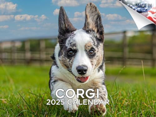 Corgi-Kalender 2024 2025 – Monatlicher Wandkalender für Hunderassen – 30,5 x 45,7 cm offen – dickes Papier ohne Auslaufen – Geschenk – akademischer Lehrerplaner Kalender Organisieren & Planen –