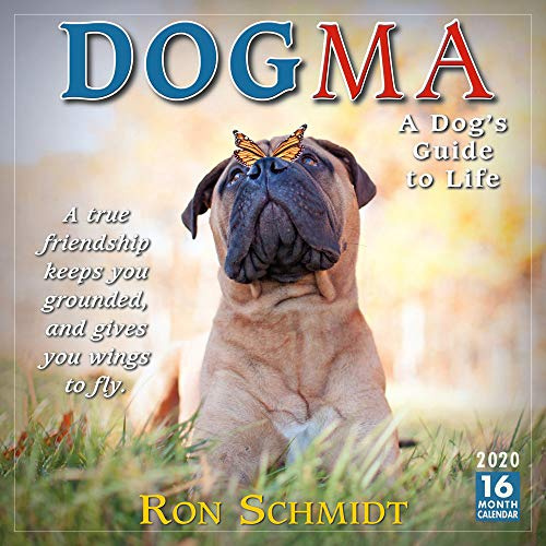 Dogma 2020 Calendar: A Dog's Guide to Life