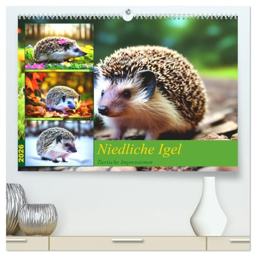 Niedliche Igel (hochwertiger Premium Wandkalender 2026 DIN A2 quer), Kunstdruck in Hochglanz: Bezaubernde und naturnahe Bilder von Igeln (CALVENDO Tiere)