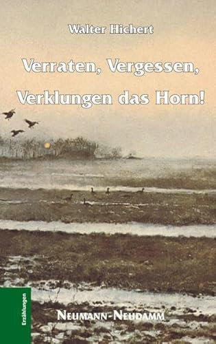 Verraten, Vergessen, Verklungen das Horn: Erzählungen