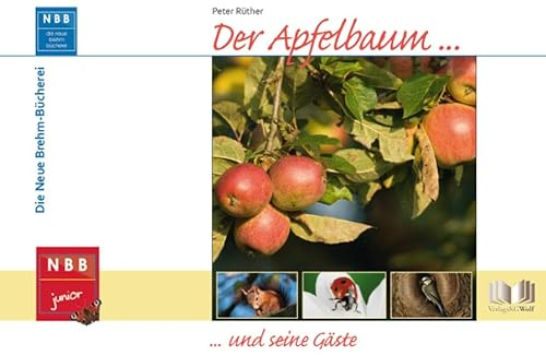 Der Apfelbaum und seine Gäste (NBB junior)