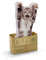 MUSTARD - Cat in A Box Sticky Notes I selbstklebende Notizzettel I Haftnotizzettel I klebend I Block I Klebenotizzettel I lustige Geschenkidee I Notizen für Kinder I Katzen Motiv - 150 Notizzettel