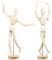 EXCEART 2 Stück Gliederpuppe aus Holz, Modellpuppe Puppe Paintersisters Gliederpuppe mannequin holzfiguren zum Zeichnen flexibel ästhetisch gelenkig Dekor