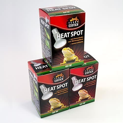 Terra Exotica Heat Spot 60 Watt -3er Pack- Wärmelampe für Reptilien - 25W, 40W, 60W, 75W, 100W, 150W - Terrarium Wärme Spotstrahler - Terrarienbeleuchtung (3, 60 W)