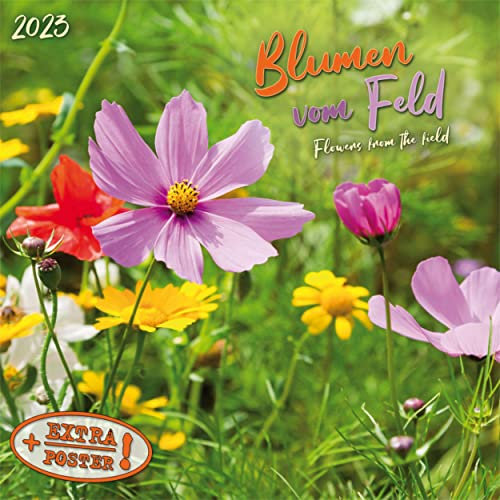 Blumen vom Feld 2023: Kalender 2023 (Artwork Edition)