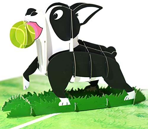 GREETING ART Hundekarte,Geburtstagskarte Hund Pop Up,Geburtstagskarte mit Hund,Geburtstagskarte Hund 3d,Pop Up Hundekarte, Geschenkkarte, Überraschungskarte mit einem Hund (Boston Terrier)