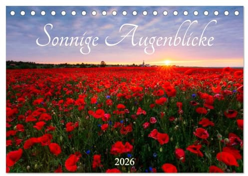 Sonnige Augenblicke (Tischkalender 2026 DIN A5 quer), CALVENDO Monatskalender: Landschaften im Sonnenlicht (CALVENDO Natur)