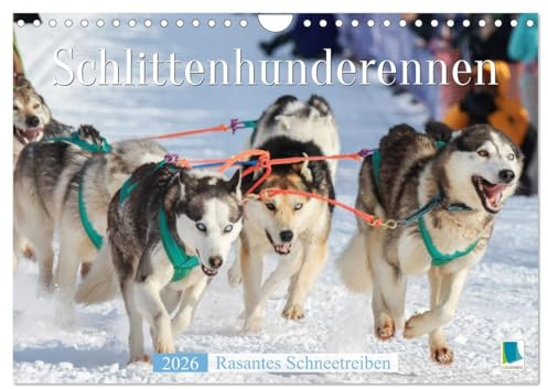 Schlittenhunderennen: Rasantes Schneetreiben (Wandkalender 2026 DIN A4 quer), CALVENDO Monatskalender: Musher und Hundegespanne: unvergessliche Schlittenfahrten (CALVENDO Sport)