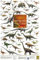Planet Poster Editions Dinosaurier aus Trias und Jura Poster laminiert Korck