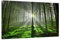 Visario 120 x 80 cm Bild auf Leinwand Bäume Wald 5130-SCT deutsche Marke und Lager - Die Bilder/das Wandbild/der Kunstdruck ist fertig gerahmt