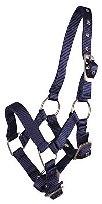 QHP Fohlenhalfter Halfter Fohlen Nylonhalfter 4 Fohlengrößen 6 Farben (Fohlen Full, blau)