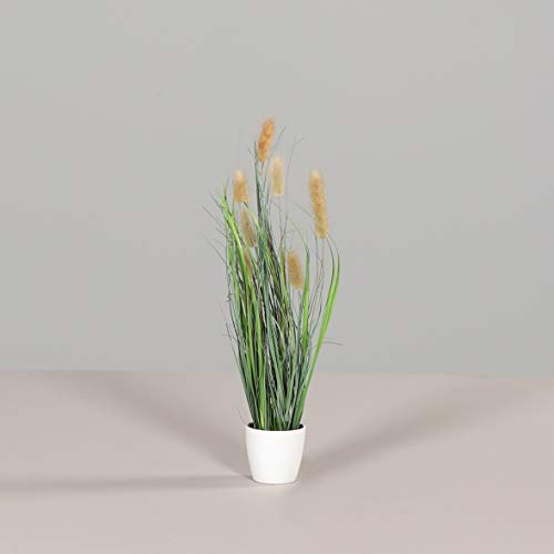 mucplants Kunstgras mit echten großen Weidenkätzchen im weißen Topf 42cm grün braun Kunstpflanze Tischdeko