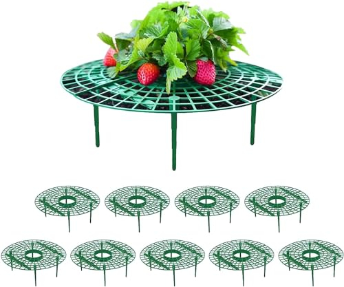 USYSGT 10 Pièces Support de Fraisier Supports pour Plantes Fraise, Supports de Plantation pour Fruits en Plastique Amovible Plateau Cadre de Support pour Serre et Plantes en Pot