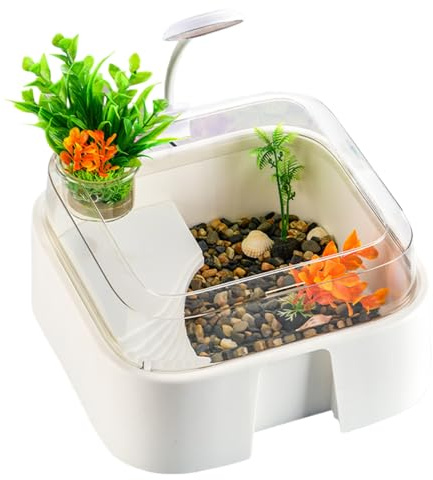 Kleines Schildkröten Terrarium Reptilien Terrarium Mit Zubehör