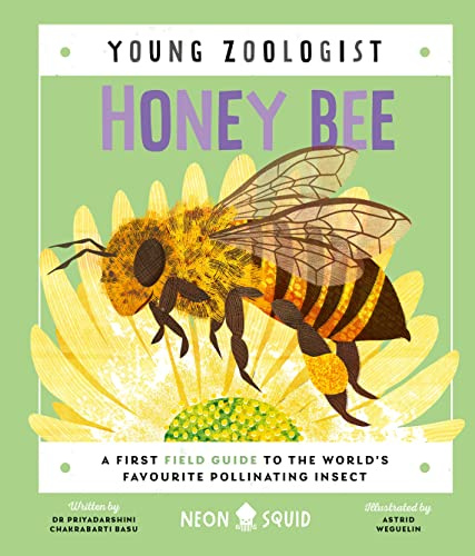 Honey Bee (Young Zoologist) (International Edition)