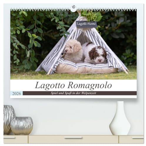 Lagotto Romagnolo - Spiel und Spaß in der Welpenzeit (hochwertiger Premium Wandkalender 2026 DIN A2 quer), Kunstdruck in Hochglanz: Wunderschöne ... die Welpenstube der Lagotti. (CALVENDO Tiere)