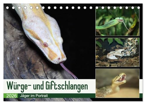 Würge- und Giftschlangen (Tischkalender 2026 DIN A5 quer), CALVENDO Monatskalender: Schlangen: benachteiligt, aber genial (CALVENDO Tiere)