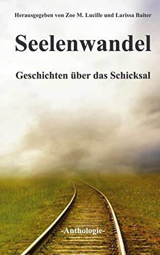 Seelenwandel: Geschichten über das Schicksal