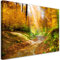 Feeby Impression sur Toile Intissé Arbres Nature Forêt 45x30 cm Image Moderne Tableau Déco Mural Salle De Séjour Rayons du soleil Chemin de forêt Plantes orange