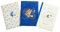 Harry Potter: Ravenclaw Constellation Sewn Notebook Collection (Set of 3) (HP Constellation)