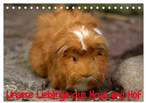 Unsere Lieblinge aus Haus und Hof (Tischkalender 2025 DIN A5 quer), CALVENDO Monatskalender: Meine schönsten Bilder aus der großen Welt der Tiere aus Haus und Hof. (CALVENDO Tiere)