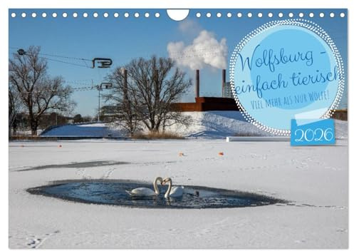 Wolfsburg - einfach tierisch (Wandkalender 2026 DIN A4 quer), CALVENDO Monatskalender: Wolfsburg hat nur Wölfe? Nein! (CALVENDO Orte)