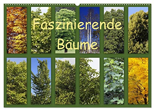 Faszinierende Bäume (Wandkalender 2026 DIN A2 quer), CALVENDO Monatskalender: Fotocollagen mit Bildern von Bäumen und den dazu gehörigen Blüten oder Blättern. (CALVENDO Natur)
