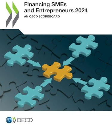 Financing SMEs and Entrepreneurs 2024