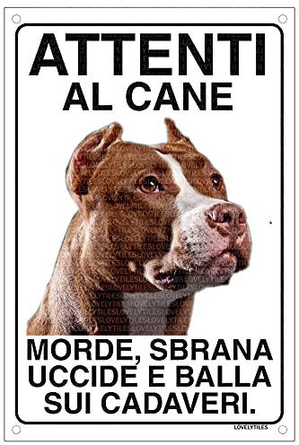 PITBULL Attenti al cane morde sbrana uccide e balla sui cadaveri (15X20)