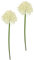 Flair Flower Kunstblume Allium Zierlauch Kugelblume Zweig Einzelblume Stielblume Floristik künstliche Blumen Beiwerk für künstliche Blumen-Sträuße und Bouquets Blumengestecke Dekoblume Blumenlauch