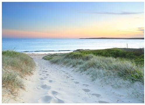Fototapete Strand Meer Nordsee Dünen Natur 400x280 cm - inkl. Kleister - für Wohnzimmer Schlafzimmer Flur Modern Vlies Tapete Vliestapete Wandtapete Motivtapeten